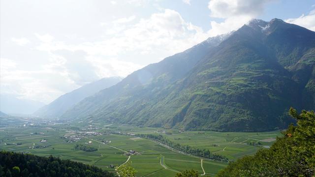 Studie aus dem Vinschgau: Südtiroler Äpfel: Pestizidbelastung auch in Berglagen
