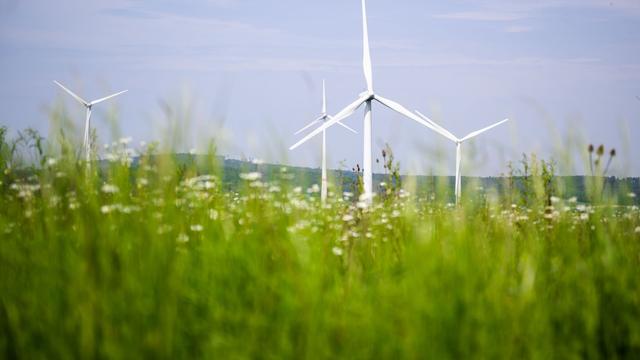 Energieversorgung: Branchenstudie: Windkraft-Ausbau lohnt sich für Kommunen
