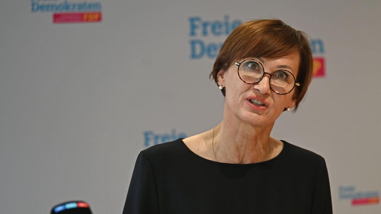 Wetenschap: FDP wil dat de NRW-regio de locatie wordt van de eerste kernfusiecentrale