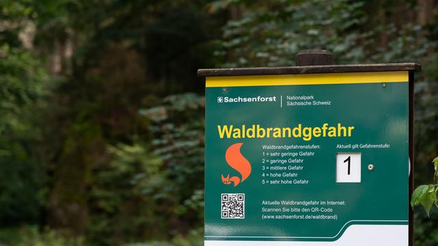 Naturschutz: Waldbrandsaison beginnt in Sachsen: 110 Brände im Vorjahr