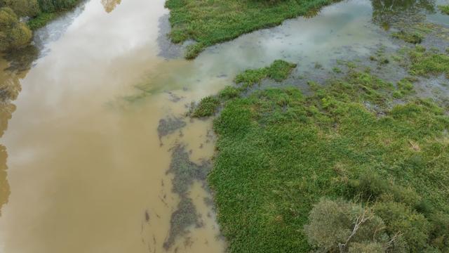 Umwelt: Wasserbehandlung der Spree verringert Eisengehalt im Fluss
