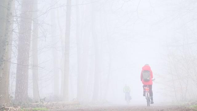 Wetter: Nebel und milde Temperaturen am Dienstag in Niedersachsen