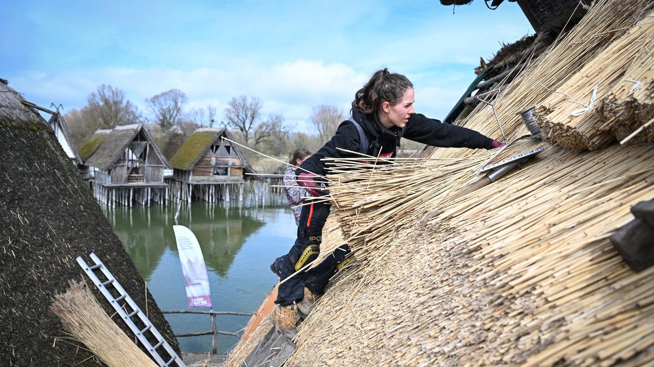 Fotografie: Bilder des Tages