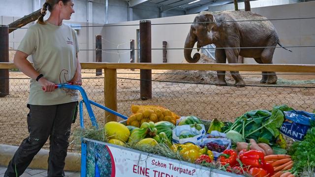 Tiere: Neues Haus für Riesenotter, Mungos & Co im Tierpark Cottbus
