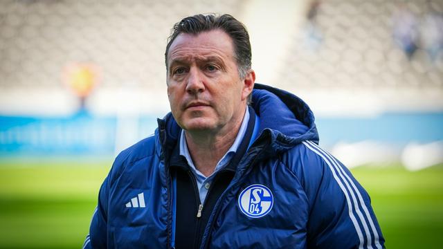 2. Bundesliga: Schalke-Sportdirektor Wilmots: «Keine Trainerdiskussion»