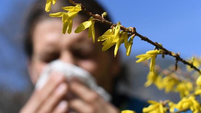 Gesundheit: Allergiker könnten bald ganzjährig belastet sein