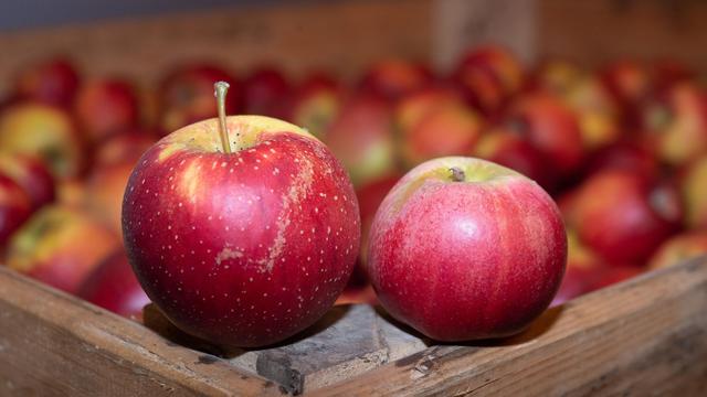 Klimawandel: Obst- und Gemüseerzeuger: Äpfel bleiben an erster Stelle