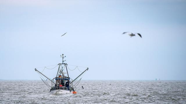 Finanzielle Unterstützung: Bund gibt drei Millionen Euro Beihilfe für Fischereibetriebe