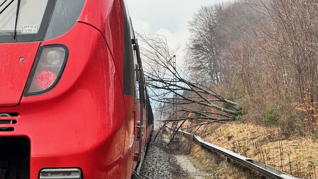 Bahn: Zug mit 250 Fahrgästen stößt gegen gefällten Baum