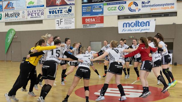 Handball-Bundesliga: Zwickau holt zwei wichtige Punkte im Kampf um Klassenerhalt