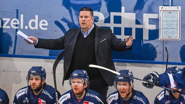 Eishockey: DEL-Playoffs: Straubing vor Halbfinal-Einzug