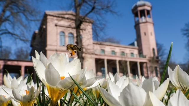 Wetter: Frühlingshafter Dienstag in Berlin und Brandenburg