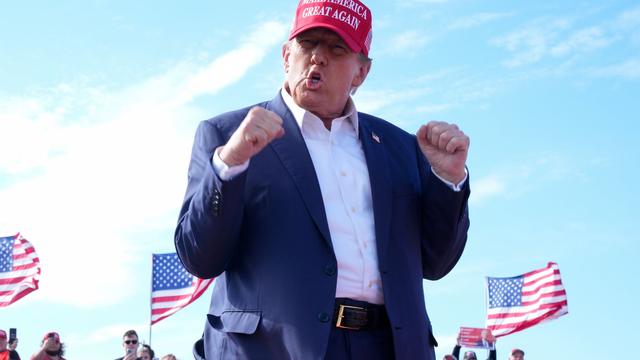 US-Wahlen: Suche nach «Running Mate»: Wer wird an Trumps Seite kämpfen?