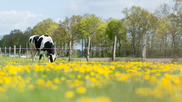 Agrar: Niedersachsen droht Etappenziel bei Öko-Landbau zu verpassen