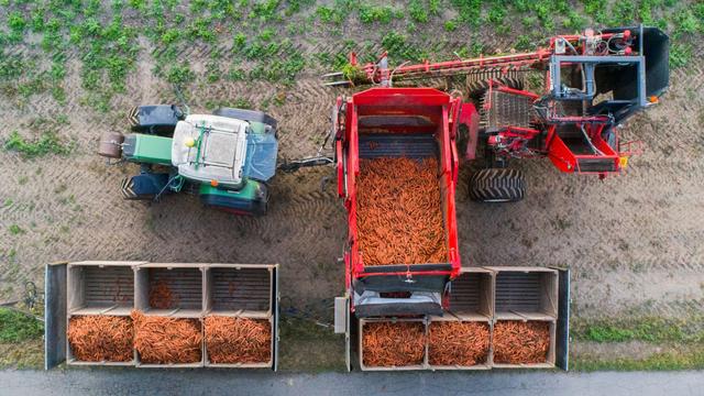 Agrar: Ökolandwirtschaft in Sachsen-Anhalt wächst