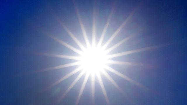 Wetter: DWD: Temperaturrekorde werden flächendeckend geknackt