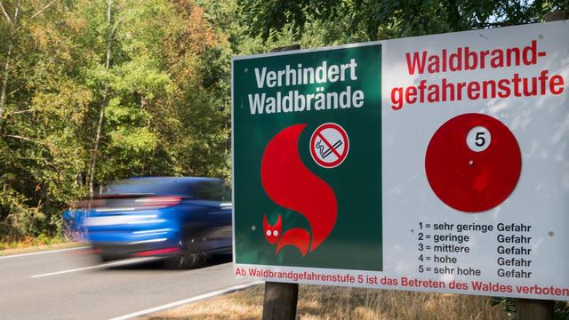 Wetter: Hohe Waldbrandgefahr in Sachsen
