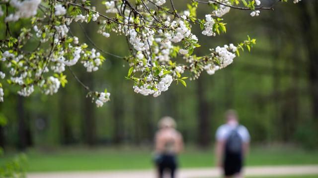 Frühling: Wetter in Berlin und Brandenburg bleibt sommerlich