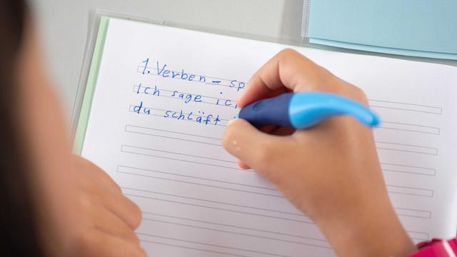 Bildung: FDP macht Rechtschreibung an Schulen zum Ausschussthema