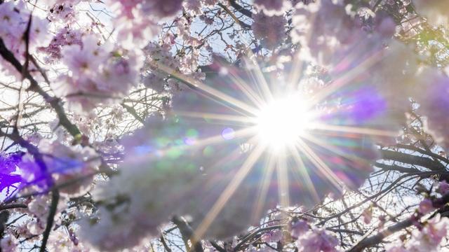 Gesundheit: Bundesamt warnt vor erhöhter UV-Strahlung am Wochenende