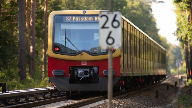 Verkehr: Bahnstrecke Berlin-Potsdam: Baum auf Gleisen, Weichenstörung