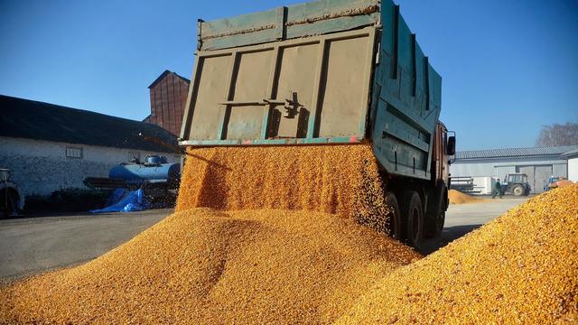 Import: Litauen dringt auf mehr Zölle für russische Lebensmittel