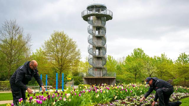 Ammerland: Blumen und neue Gartentrends: Park der Gärten startet