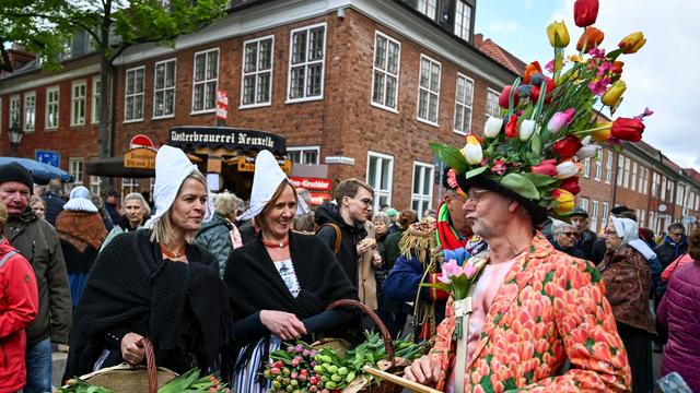 Feste: Tulpenfest: Musik und Handwerk im Holländischen Viertel