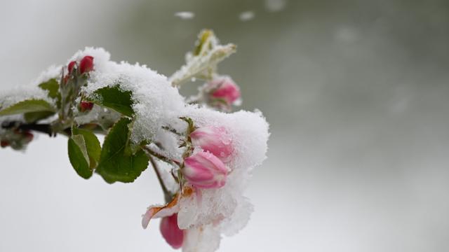 Wetter: Polarluft bringt Frost, Schneeschauer und Glätte 