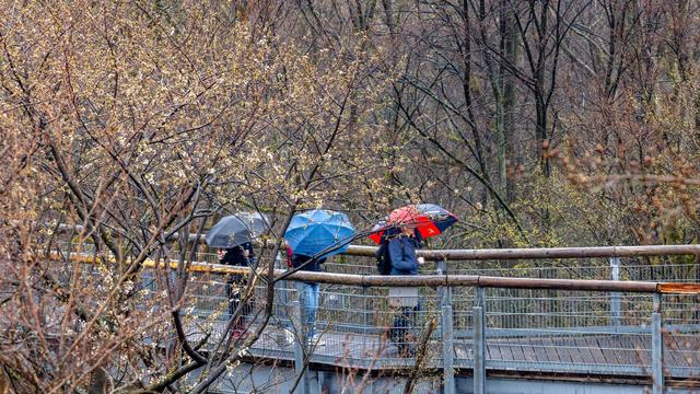 Wetter: Schnee und Regen zum Wochenstart in Thüringen