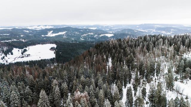 Freizeit: Bergwacht Schwarzwald mahnt zur Vorsicht vor Lawinen