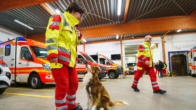 Katastrophenschutz: Rettungshundestaffeln in Hessen sind gut aufgestellt