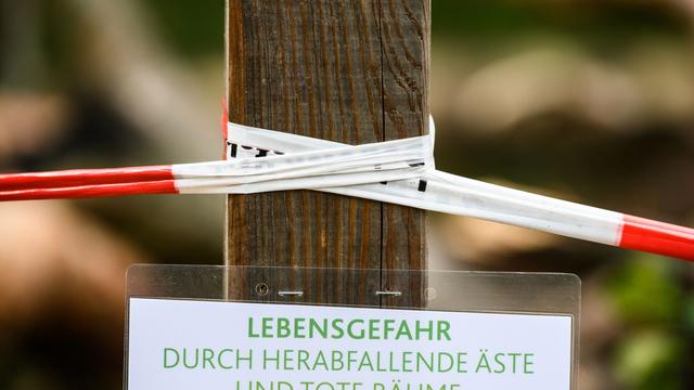 Umwelt: Lernprojekt im Lennebergwald