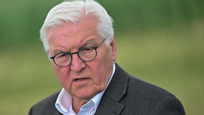 Bundespräsident: Steinmeier: Demokratie Braucht Politische Kultur Ohne ...