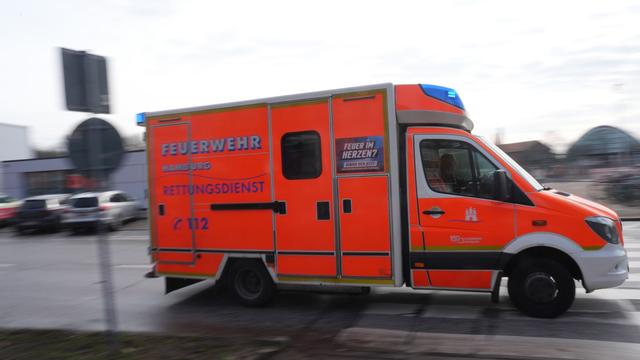 Herzogtum Lauenburg: Zwei Verletzte bei Streit in Geesthacht