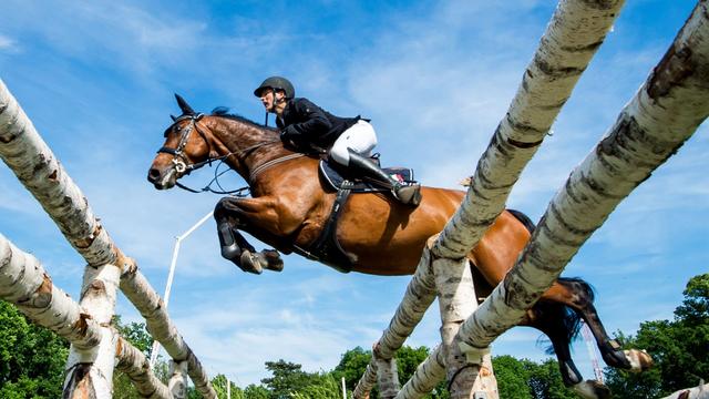 Pferdesport: Sicher statt schnell: Belgier Vereecke gewinnt Großen Preis