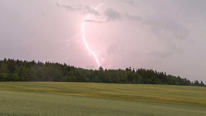 Wetter: Bei einem Gewitter bei Langenau sind Blitze über einem Wald zu sehen.  Am Dienstag kann es in Sachsen zu Gewittern kommen.