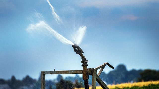 Grundwasserlage: Region Hannover schränkt Bewässerung im Sommer ein