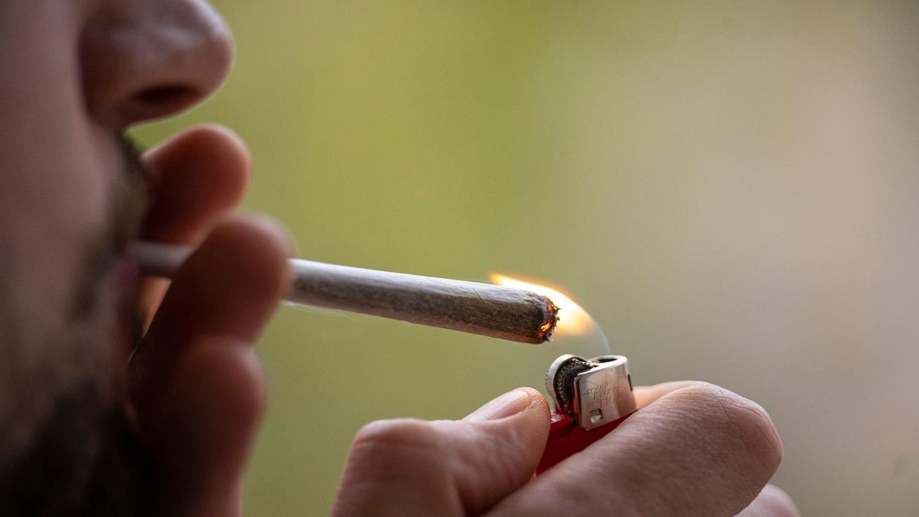 Gesellschaft Anstieg von Psychosen durch GrasLegalisierung befürchtet
