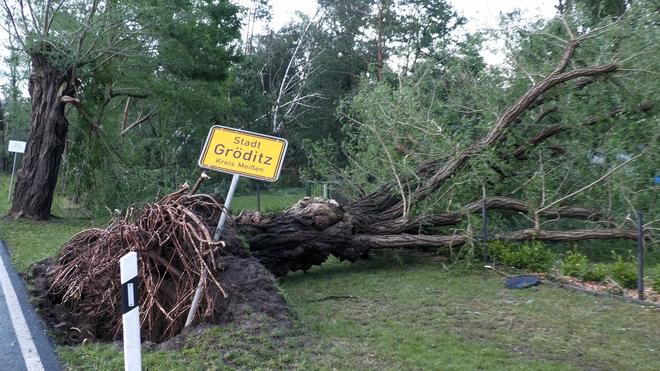 Wetter Schäden durch Unwetter Möglicherweise Tornado in Gröditz