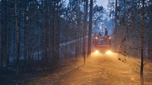 Wetter: Experte: Brandenburg kam bisher glimpflich durch Waldbrandsaison