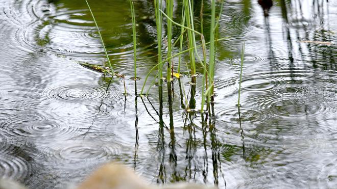 Notfälle Kleinkind fällt bei Kindergeburtstag in Gartenteich ZEIT ONLINE