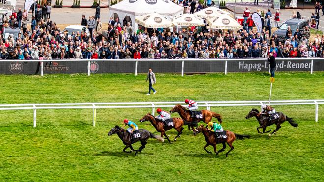 Galopp-Derby: Narrativo ist der Favorit im 155. deutschen Derby | ZEIT ...