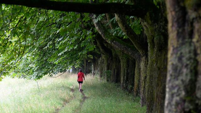 Wetter: Wind und Gewitter am ersten Ferienwochenende in NRW