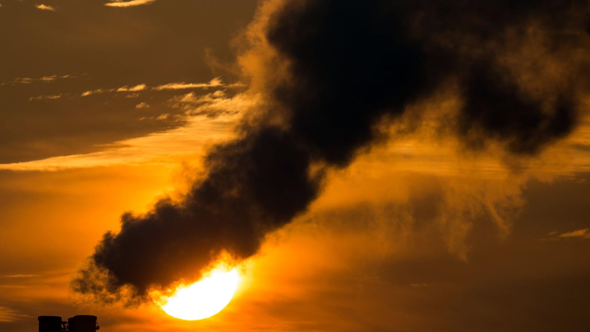 Internationale Umfrage: Klimawandel: Ältere wissen in Deutschland besser Bescheid