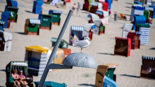 Wetter: Hochsommer in Niedersachsen – Gewitter am Mittwoch