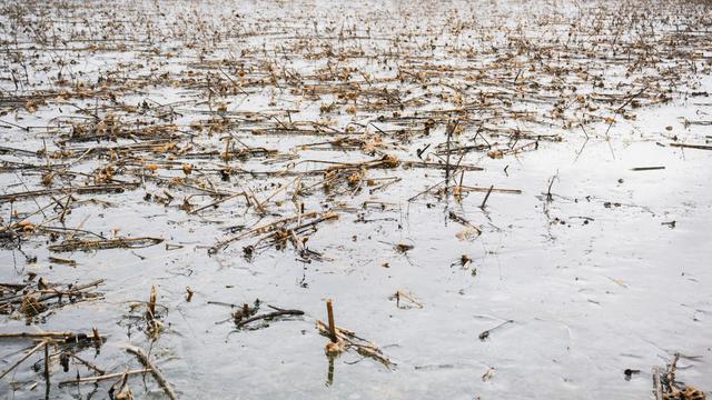 Bauern: Landwirte können Hochwasserhilfen beantragen