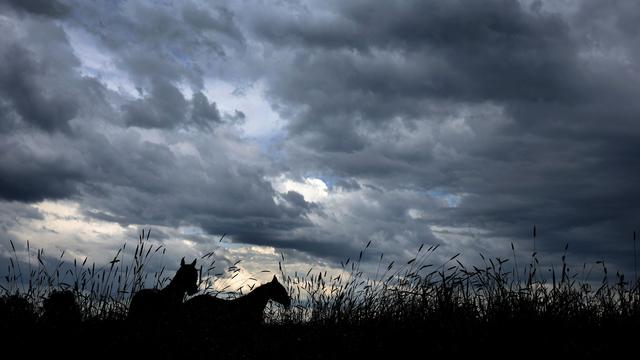 Deutscher Wetterdienst: Schauer und Gewitter im Freistaat - Unwetter möglich