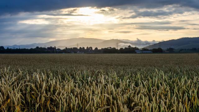 Wetter: Schauer und Gewitter im Südwesten - sonst Sonnenschein