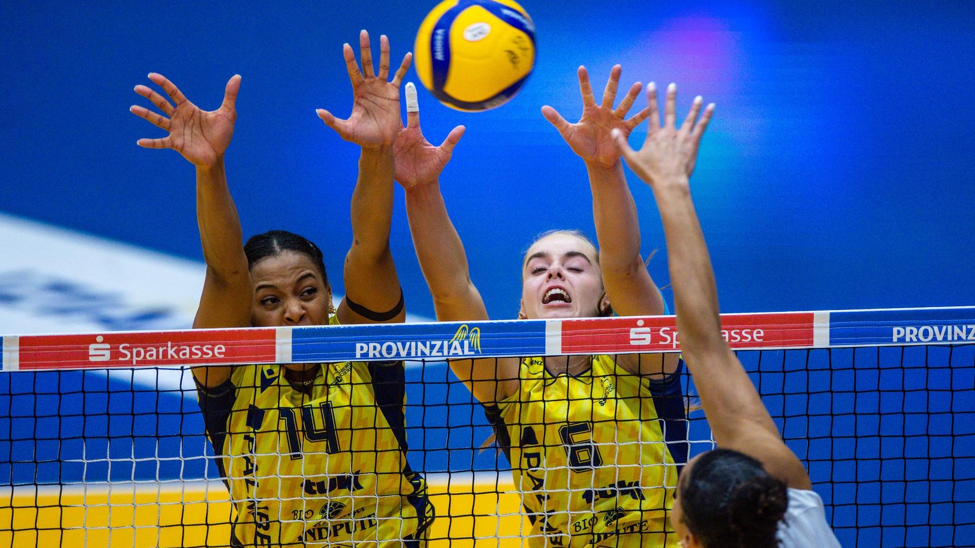 Volleyball: Schweriner Wiedersehen mit White in der Champions League